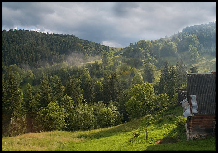 Po daždi