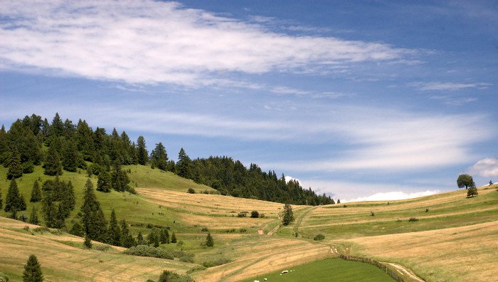 NizkeTatry