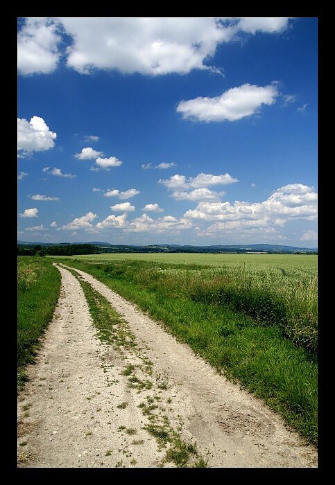 ved me dal cesto ma ...