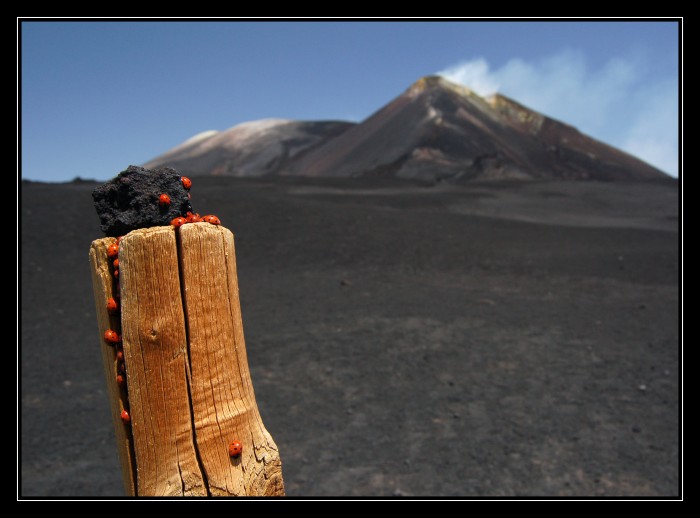 Etna