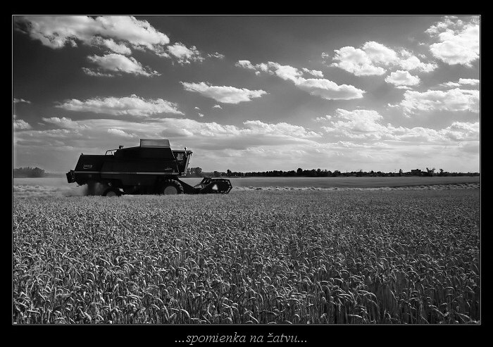 spomienka na žatvu...