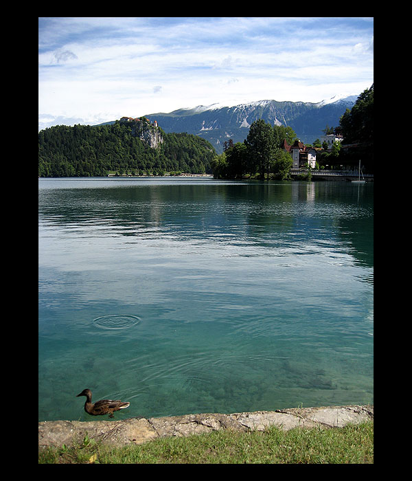 Bled