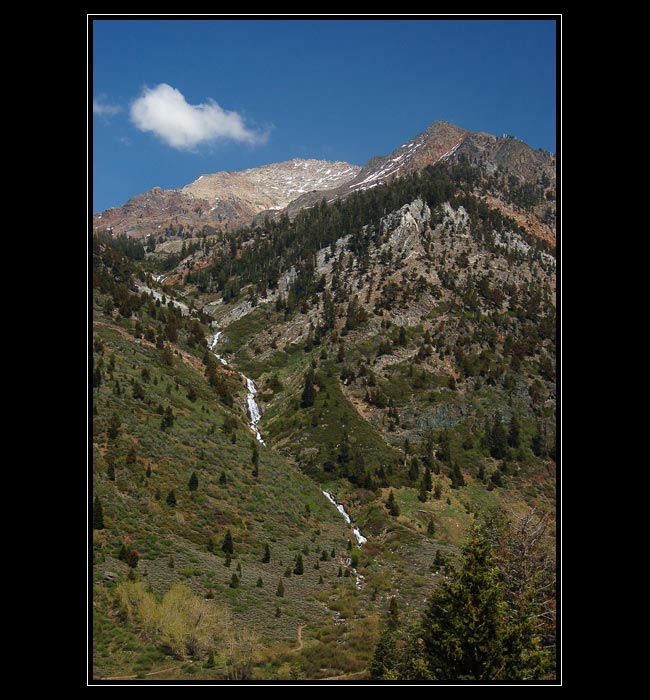 Sierras, Mineral King, Californie
