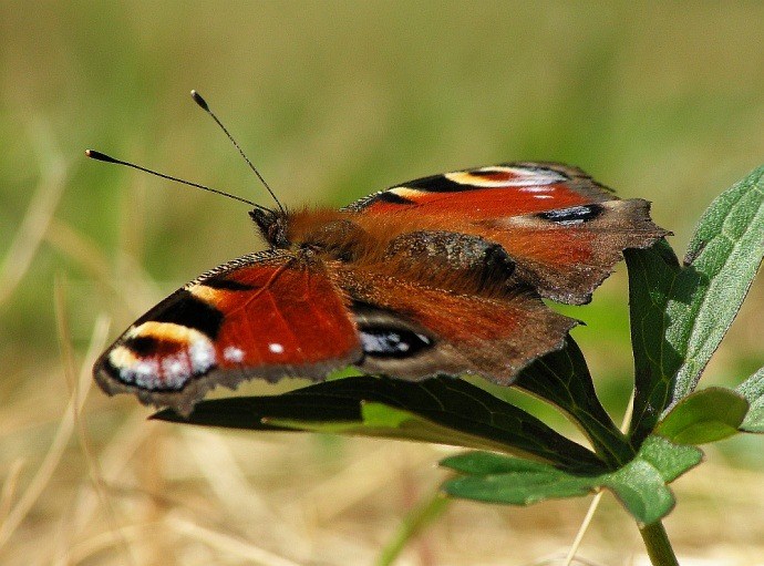 Ke startu připraven