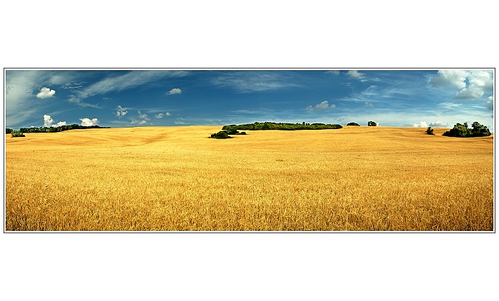 ~ panorama obilná ~