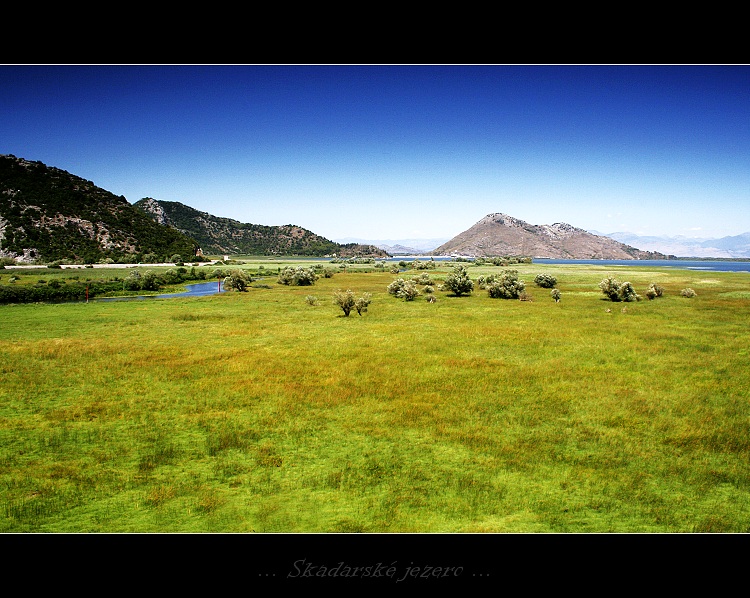 ...Skadarské jezero...