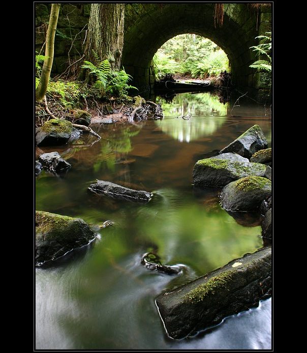 Forgotten bridge