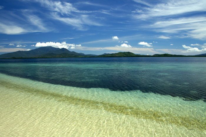 Snake Island
