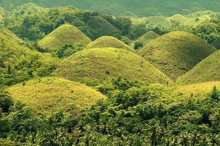 Chocolate Hills