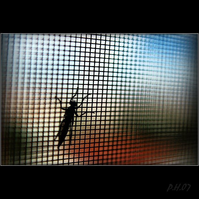 neprojdou...