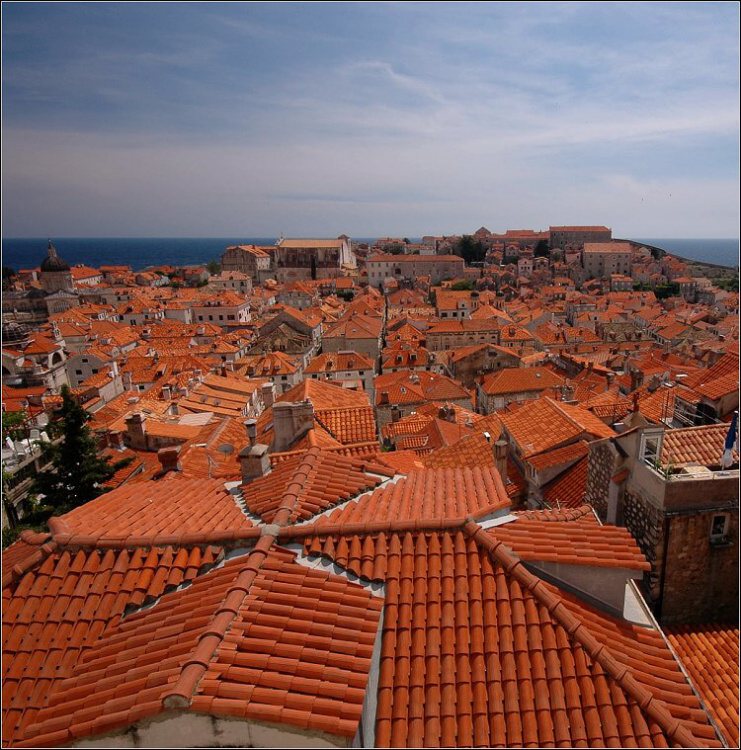Sřechy II.