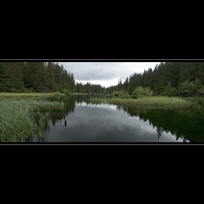 Vrbické pleso