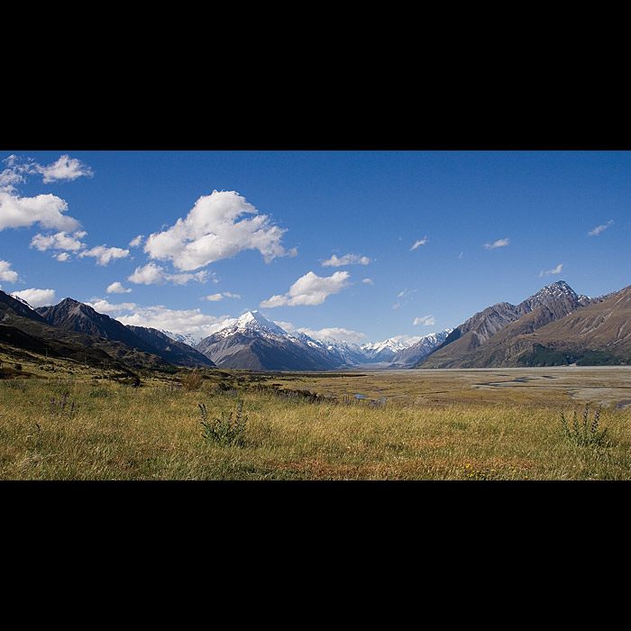 Mt. Cook