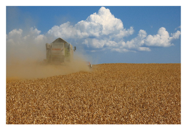 40 stupňů ve stínu