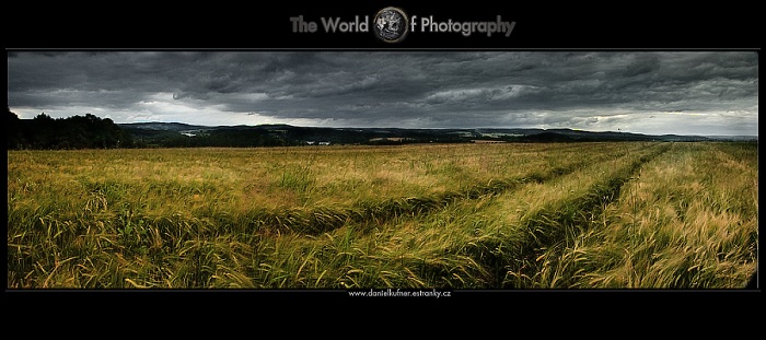 SOLUS