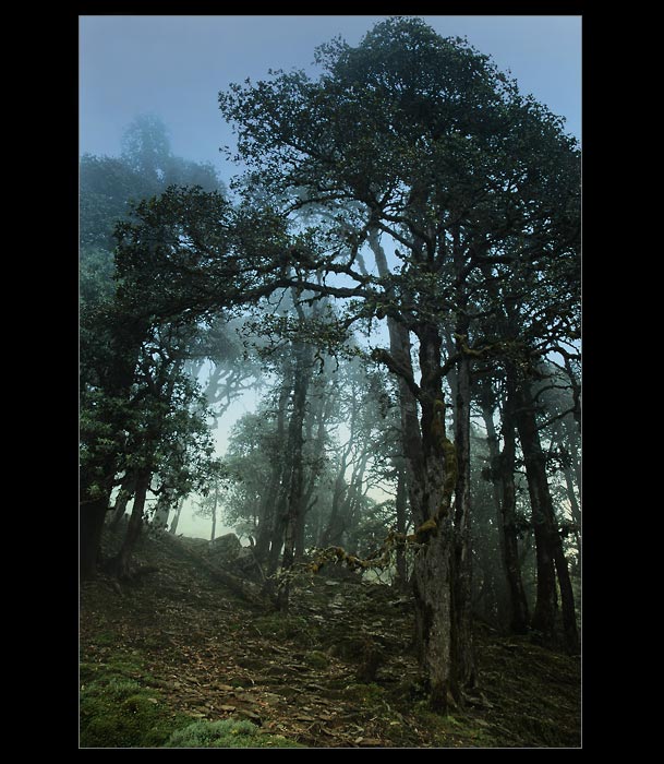 z nastevy u Tolkiena...