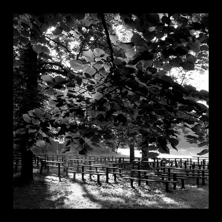 Návraty do veltruského parku XXVII - Baldachýn z listí