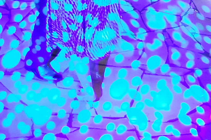 svadobna noc (alebo pajove sperma pod mikroskopom)