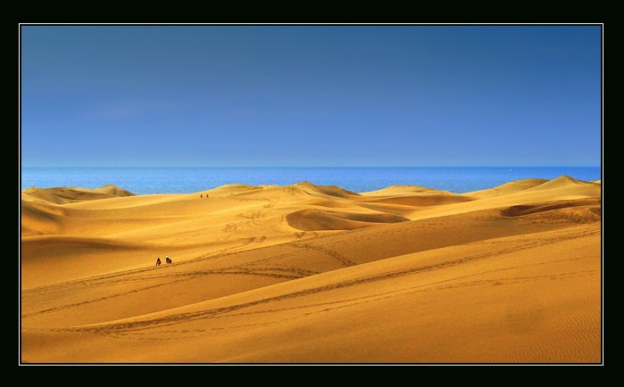 Dunas Maspalomas