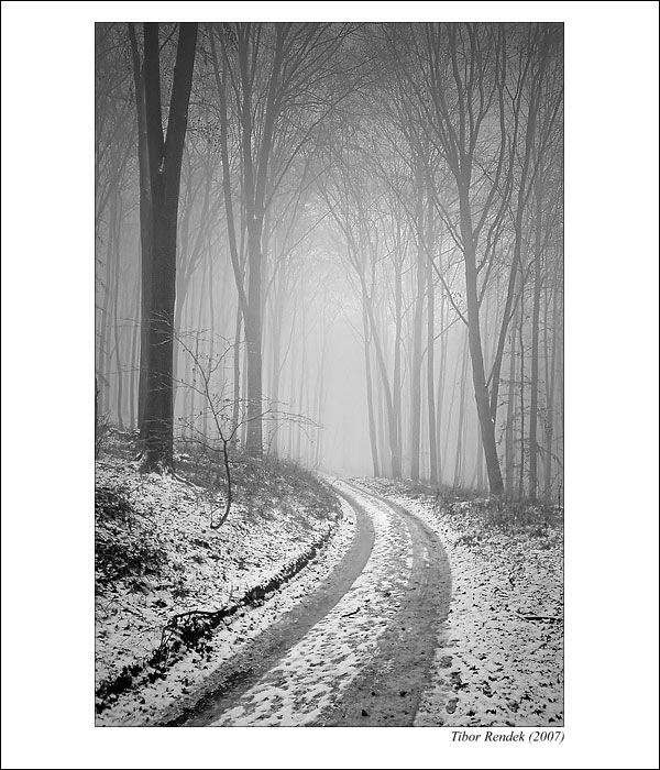 Cesta do neznáma IV.