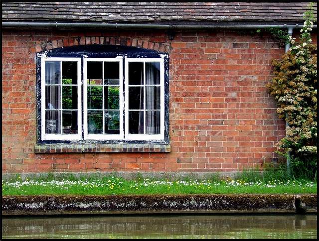 (Microsoft) Window