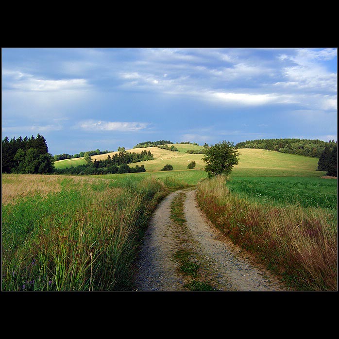 Medlovské údolí
