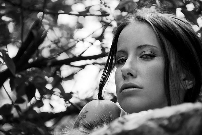 Jess