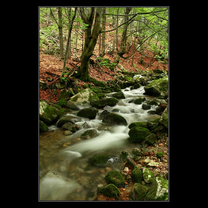 Malá Fatra III - Šútovský potok