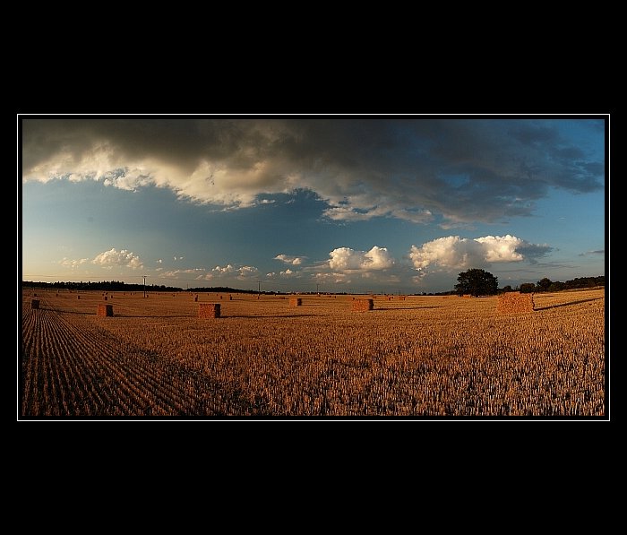 Letní podvečer II...