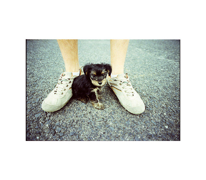 čižmoň der größte Hund