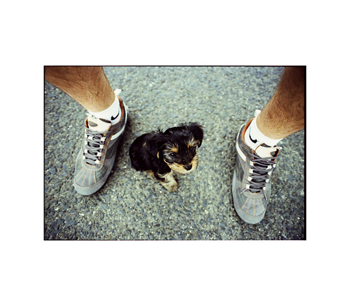 čižmoň der größte Hund