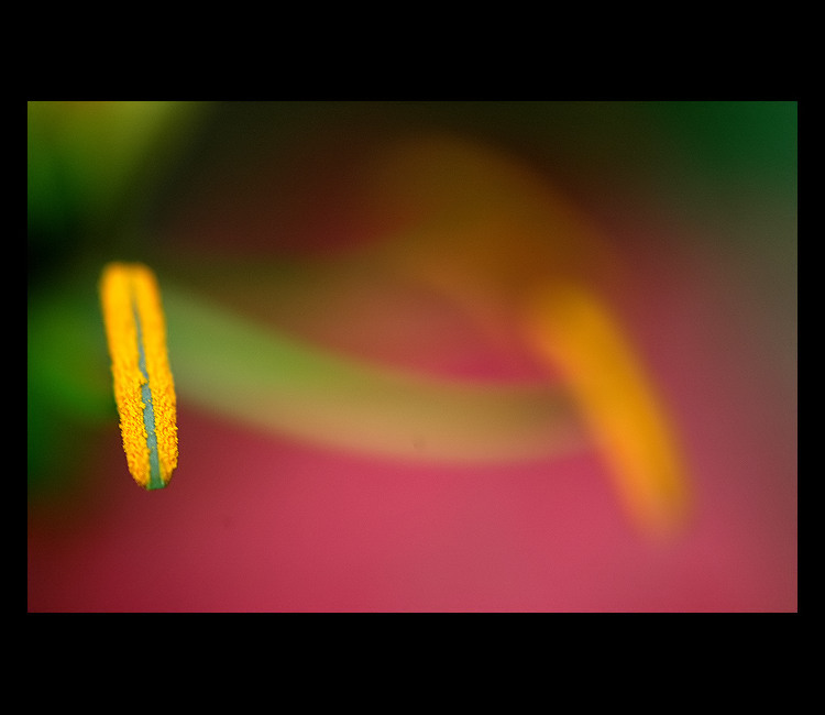 = Colorz =