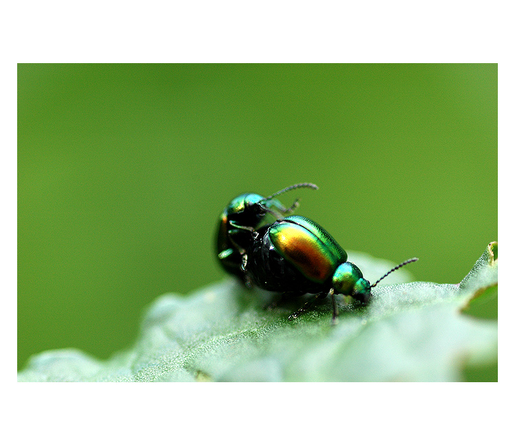 = Táto, hlooouubš! =