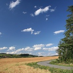 Zatáčka u křivé borovice...