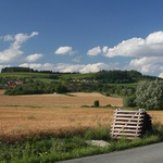 I v létě je třeba myslet na zimu...