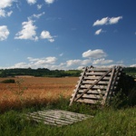 I v  létě je třeba myslet na zimu II.