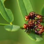 Tak už se mi neschovávej