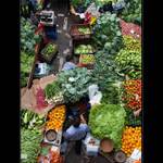 V tržnici se ztrácejí okurky !