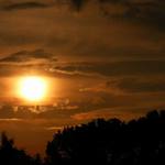 Obyčajná západofka