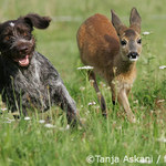 Koukej koho jsem přived !!!