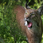 "To focení je fakt nuda..!"