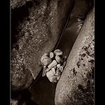 Kouzlo řeky (z cyklu)