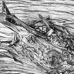 Trosečník na moři