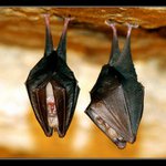 Tak už nemluv a spi!