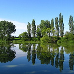 Vsišské zrcadlení