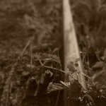 Na vedlejší koleji