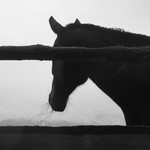 Zamyslenie nad zivotom?