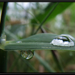 Raz si hore a raz dole.