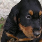 ..pryč od maminky..