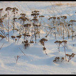 Chladná, ale krásná